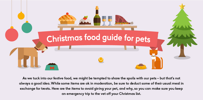 Cat Safety at Christmas